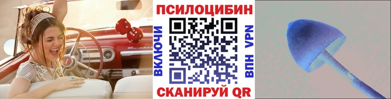 Псилоцибиновые грибы Psilocybe Верхний Уфалей